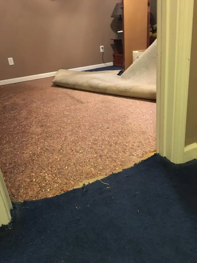 Carpet pad removal revealing water damage during Water Mitigation Services in Humboldt