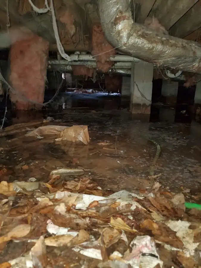 Crawl space flood assessment for Leak Detection & Repair in Humboldt