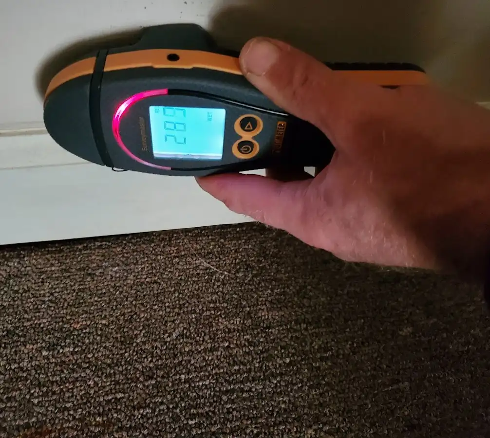 Moisture detection at baseboard during Sewage Cleanup & Sanitation in Humboldt